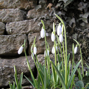 What's on in January